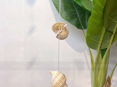 Dây treo sò ốc tự nhiên [Nhiều màu] D145 - 210cm PKT-BIEN-07
